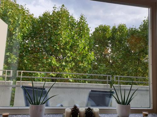 Renoviertes Wohlfühlapartment