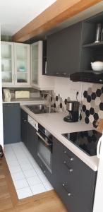 Res des Alpes n 11 - Large apartment 10 pers in the center of La Grave