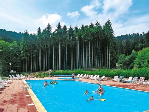 Res Les Fontaines des Vosges, Saales, 3 room apt