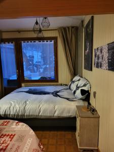 RESIDENCE BELLE HUTTE COTÉ PISTES DE SKI 2