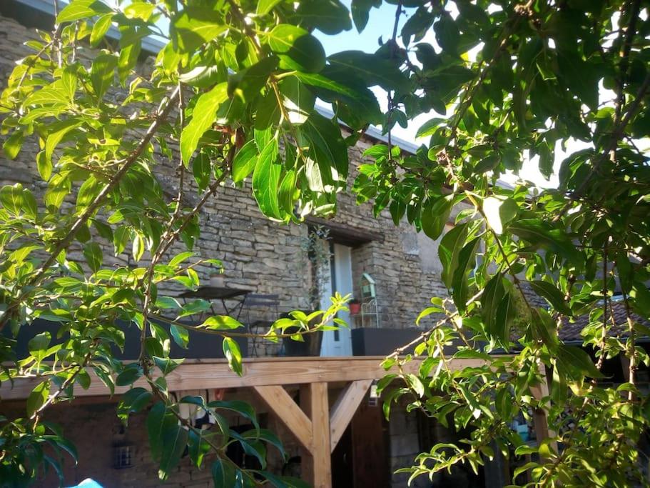 Résidence Casa Mare - Studio pour 4 Personnes 294