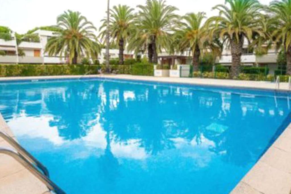 Résidence EQUATEUR - 2 Pièces pour 5 Personnes 34 11370 Port Leucate