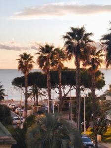 Résidence Graziella Appartement 322