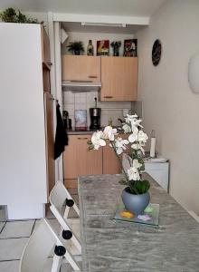 Résidence Graziella Studio 207