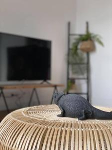 Résidence l'Aristide : Appartement Naomi