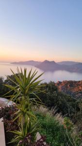 Résidence Le Bella Vista