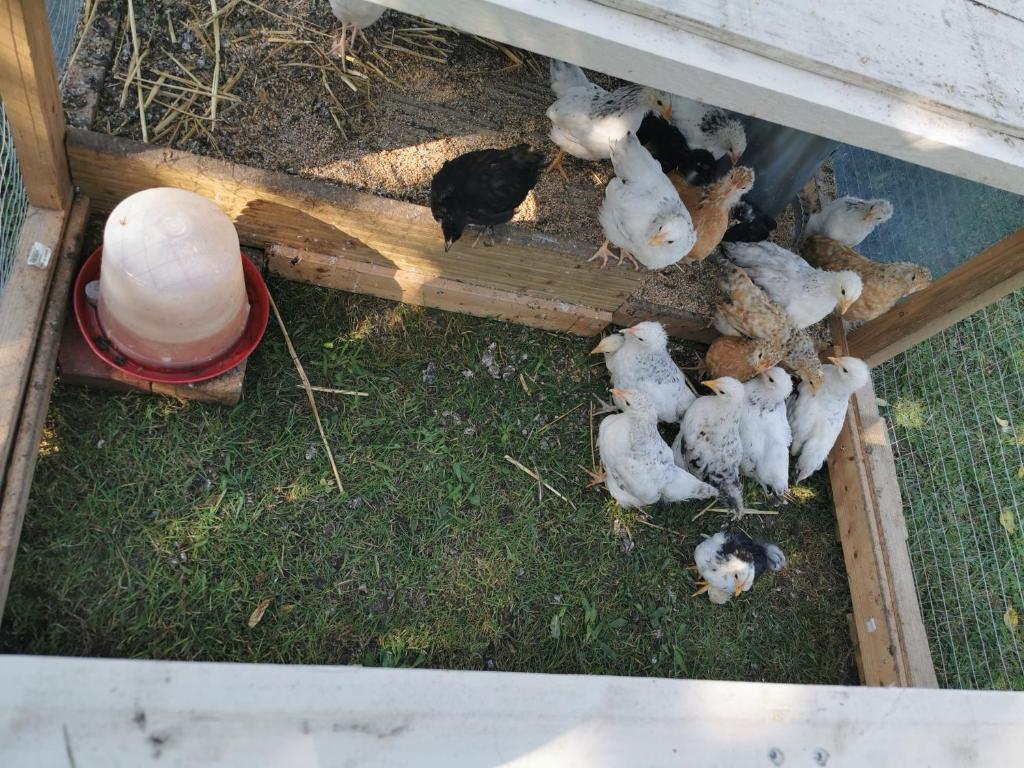 Résidence Le Bois D'aurouze - Studio pour 3 Personnes 994 05250 Le Dévoluy