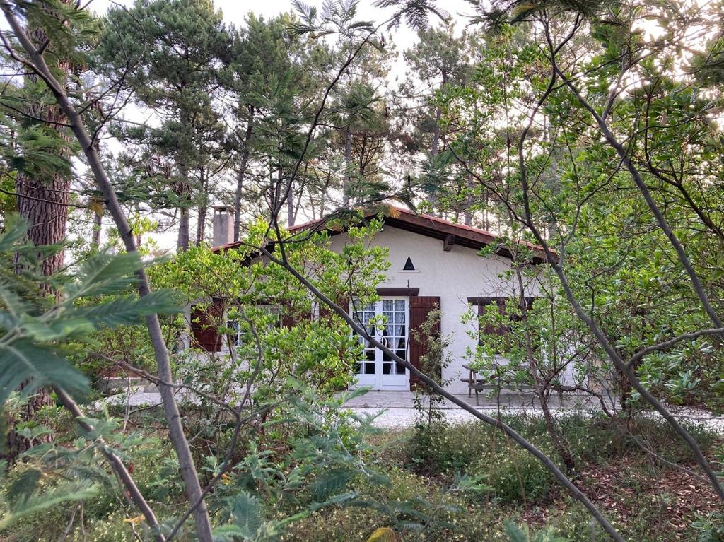 Résidence Le Centre - 2 Pièces pour 5 Personnes 193332 73350 Champagny-en-Vanoise