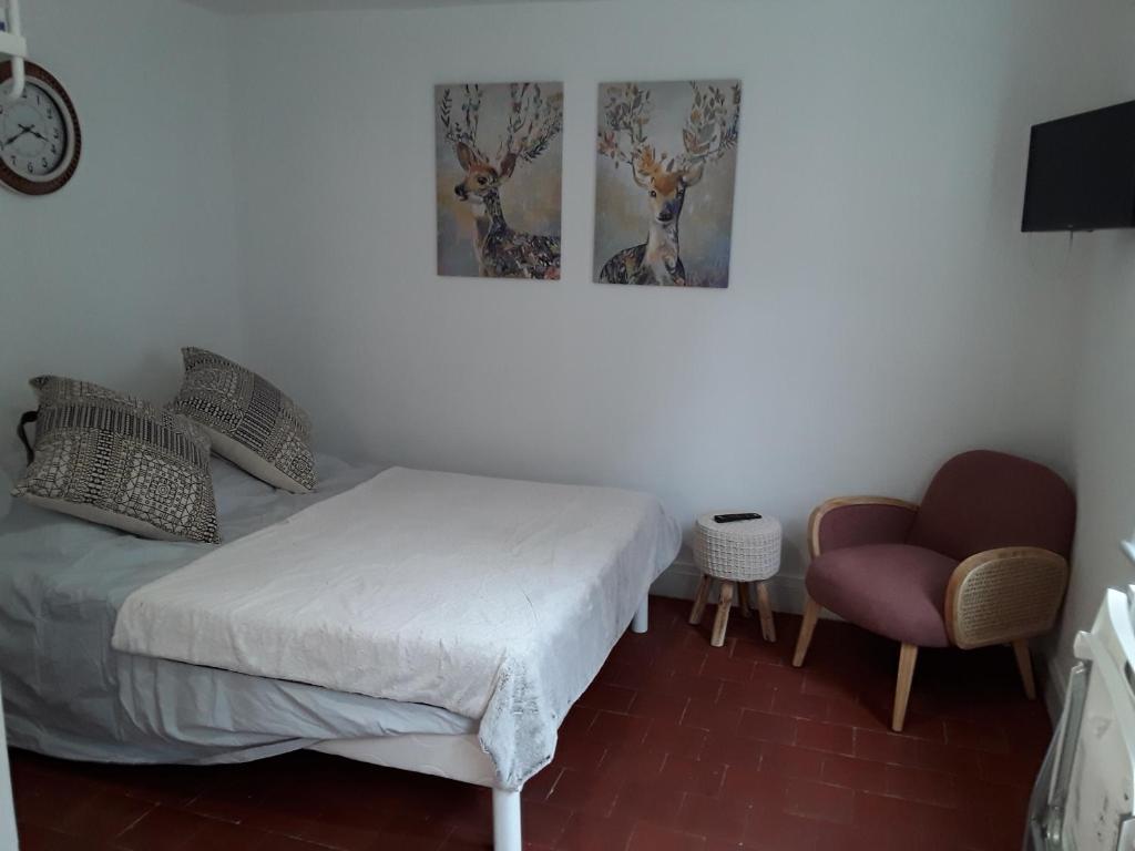 Résidence Le France - Studio pour 2 Personnes 454