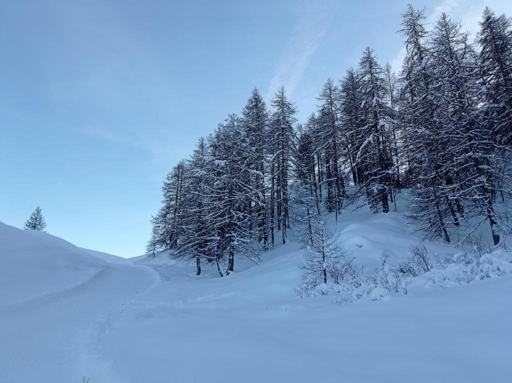 Appartement Résidence le Schuss Studio Montagne en bas des pistes Cours Yves Brayer 05560 Vars