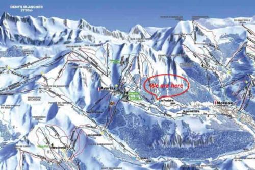 Residence Les 3 Sophie - Ski-In Studio Apartment in Les Prodains