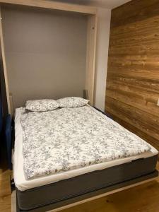 Residence Les 3 Sophie - Ski-In Studio Apartment in Les Prodains