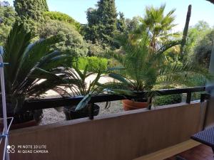 Appartement Residence Les Palmiers 52bis avenue de Fabron 06200 Nice Provence-Alpes-Côte d\'Azur