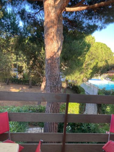 Résidence Piscine Village naturiste - Pinède