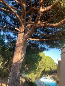 Appartement Résidence Piscine Village naturiste - Pinède 1 Impasse des Consuls 34300 Le Cap d\'Agde Languedoc-Roussillon