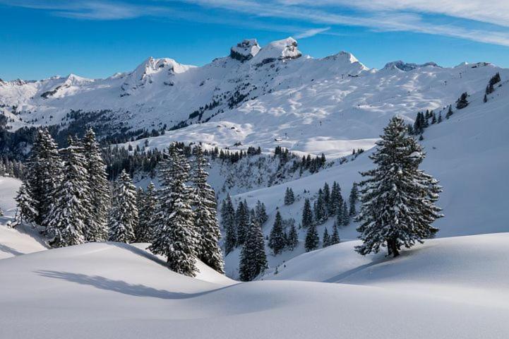 Résidence Saboia B54 Clés Blanches Courchevel