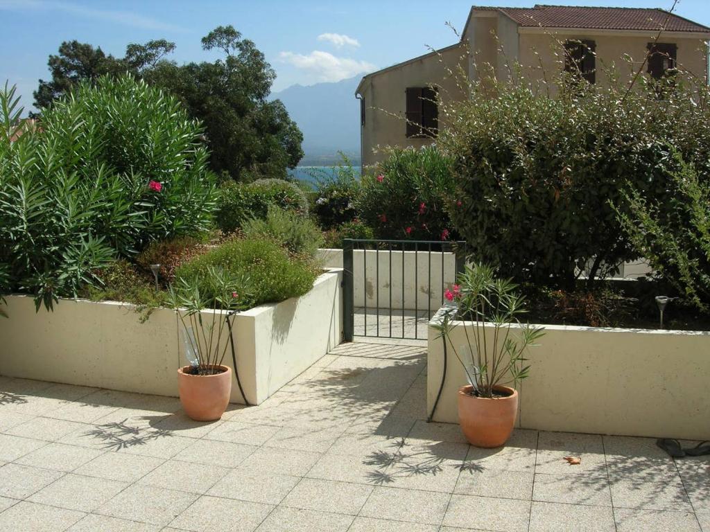 Appartement RESIDENCE SANTA REGINA Résidence Santa Régina 3 Prolongement de la rue Albert 1er 20260 Calvi