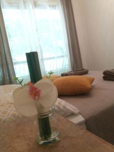 Residences Fleuries - behind Cannes Croisette Bvd