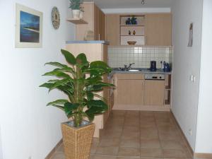 Appartement Residenz am Strand Wohnung 1-01 Seestrasse 70 18374 Zingst Mecklembourg-Poméranie