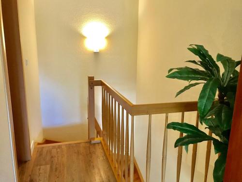 Residenz Waldhaus WE 4