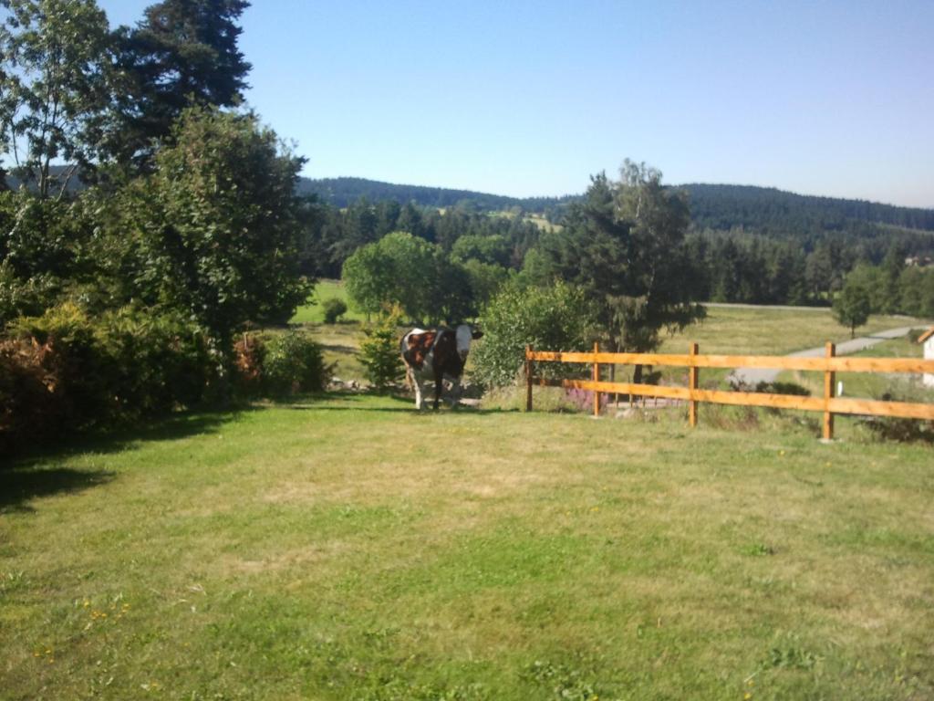 Ressourcez vous en pleine nature! Fleury, montée de la cotiasse, 42660 Saint-Régis-du-Coin