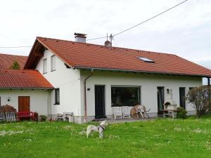 Restful Holiday Home near Ski Lift in Petersthal