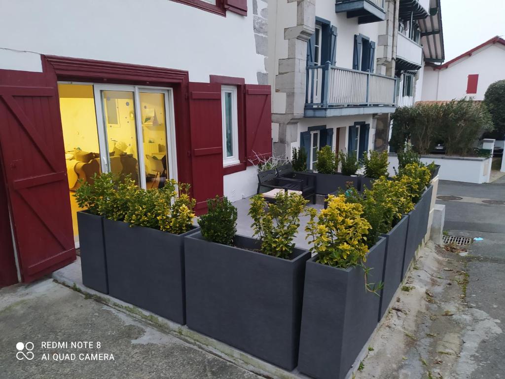 Appartement appartement rez de chaussée 2 chambres avec terrasse 11 Rue Xerri Karrika, 64250 Cambo-les-Bains