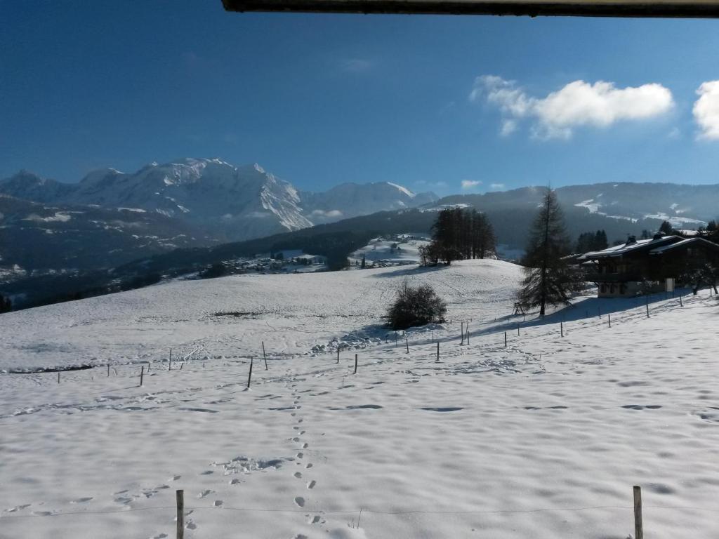 Appartement Rez de chaussée très calme vue Mont-Blanc 684 Route du Bouchet 74920 Combloux