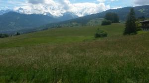 Appartement Rez de chaussée très calme vue Mont-Blanc 684 Route du Bouchet 74920 Combloux Rhône-Alpes