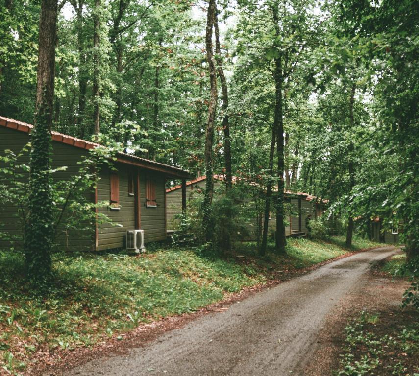 Rez de jardin de chalet bois , calme et verdure ! 06450 Saint-Martin-Vésubie