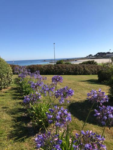 Rez de jardin piscine et plage