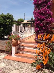 Appartement Rez de Jardin Villa Cagnes Sur Mer. 44 avenue des Bréguiéres 06800 Cagnes-sur-Mer Provence-Alpes-Côte d\'Azur