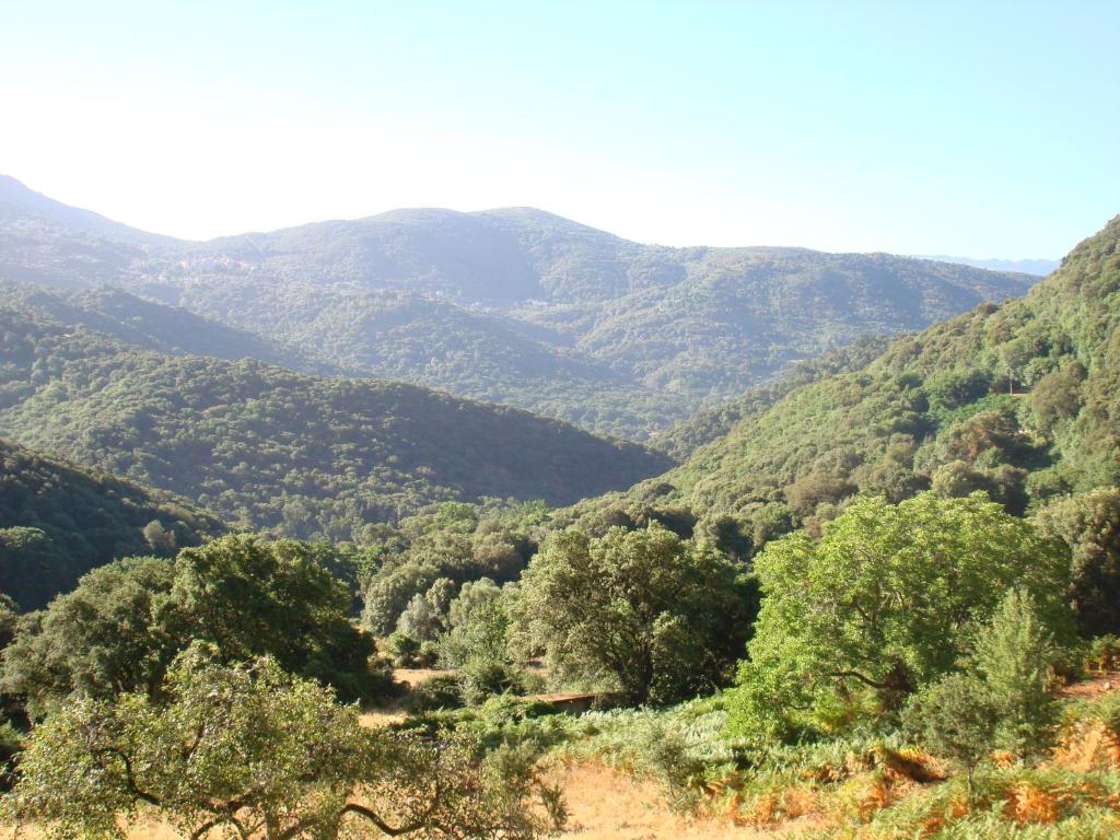 Rez de Villa Erbajolu, 20165 Loreto-di-Tallano