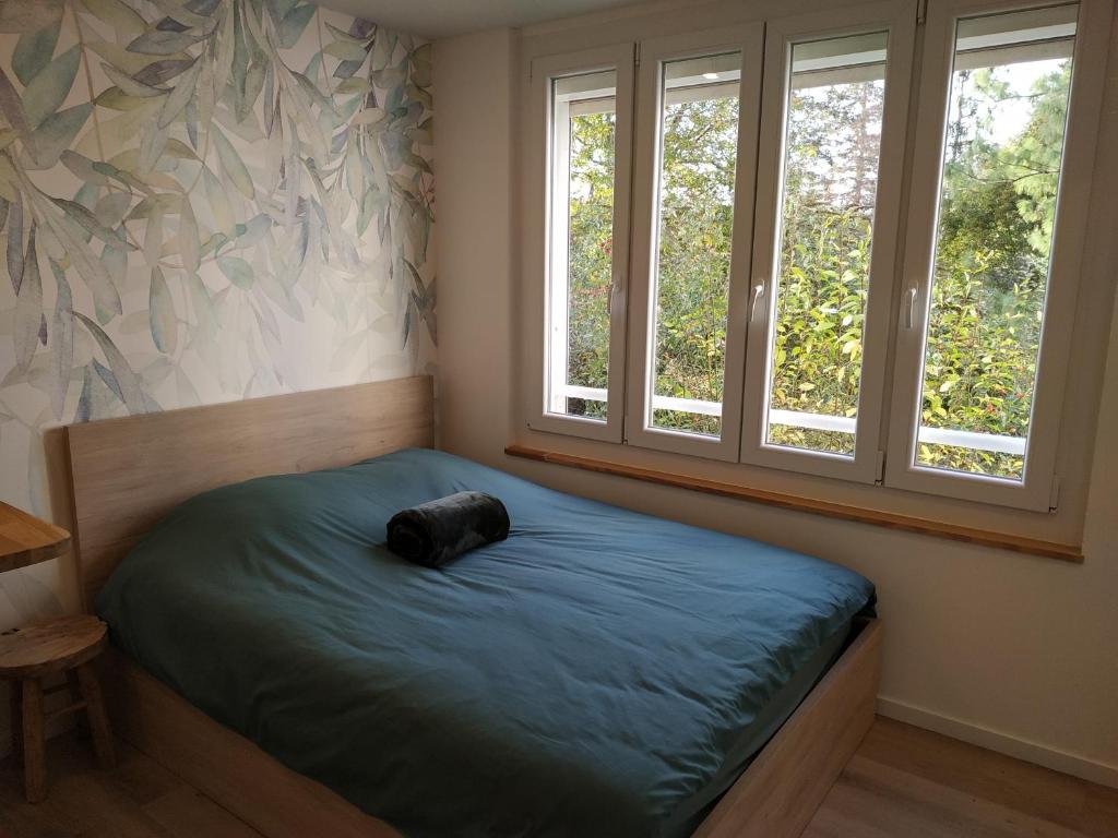 Rhein Apartment Souterrain Business