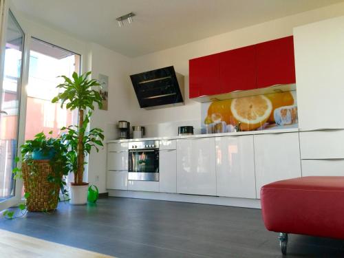 Rhein Melodie riverview luxury