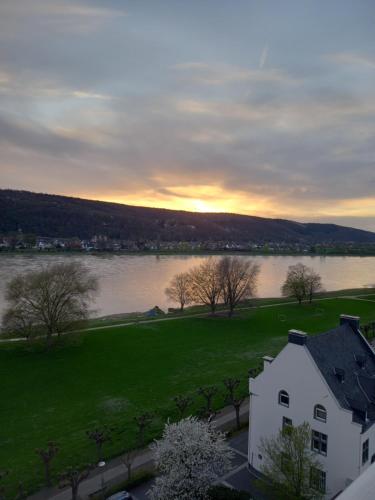 Rheinapartment 8