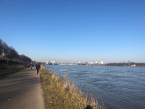Rheinblick Sommershof
