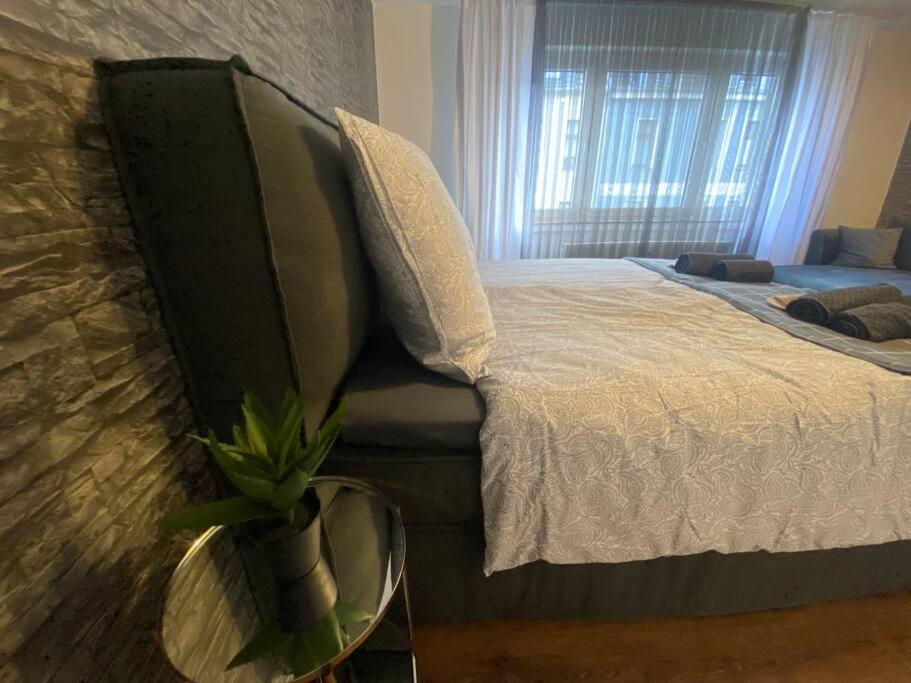 Appartement Riesen Bett, Straßenbahn vor der Tür, beste Lage 30 Friederikenstraße 45130 Essen