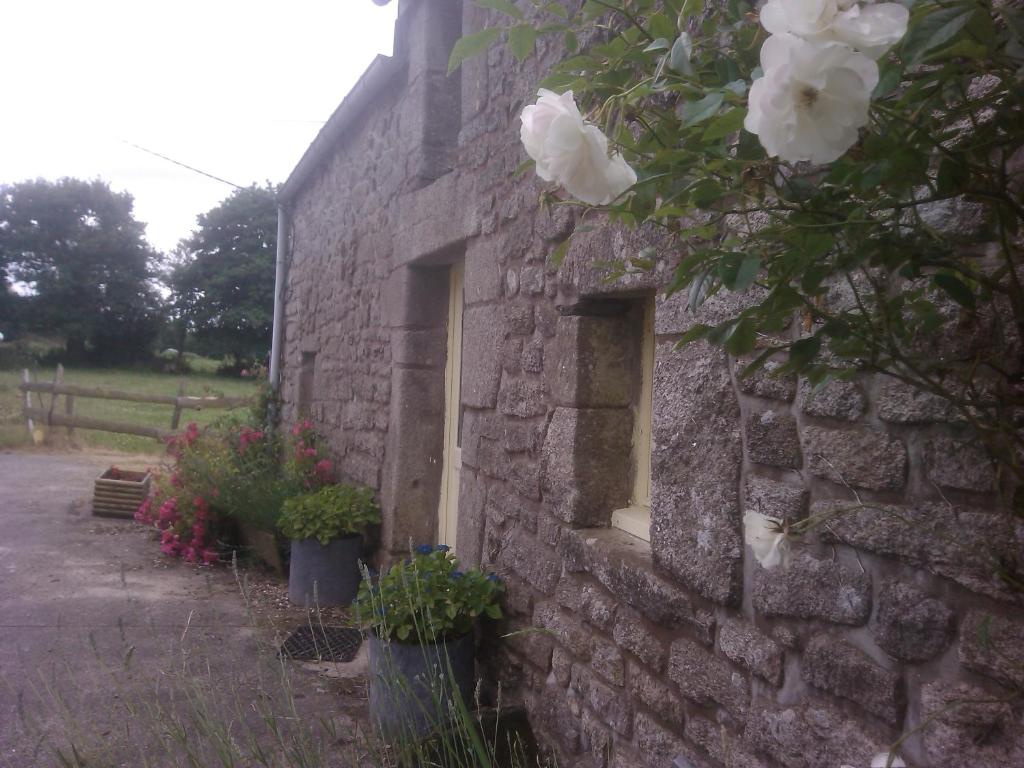 RIESLING - Vue imprenable sur le vignoble