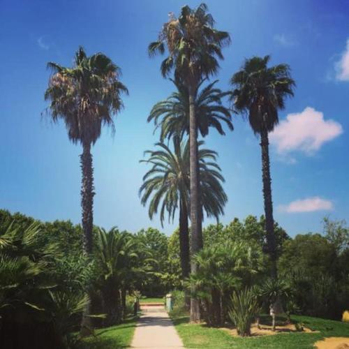 Riviera’s Soul