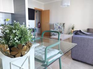 Rocha Dreamhouse 2 - Folgado & Borges Lda