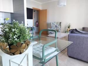 Appartement Rocha Dreamhouse 2 - Folgado & Borges Lda Avenida Tomás Cabreira 8500-802 Portimão Algarve