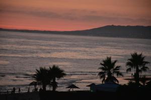 Rock´s Beach Spot