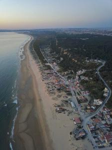 Rock’s Beach Spot Front