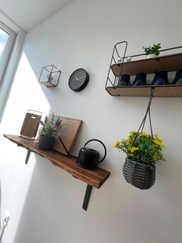 Romantic Premium Apartment