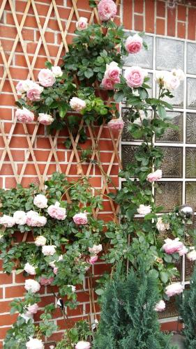 Romantikgarten
