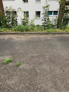 Romantische Ferienwohnung mit fantastischem Ausblick, Pool und Gartensauna