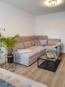 Römerpark 2 Zi-Appartement