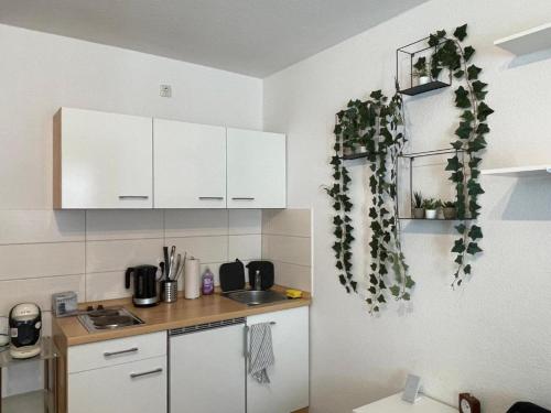 Römerpfad - Modern Studio Apartment
