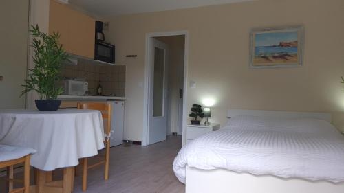 Room in Studio - Amelie les Bains studio spa treatment